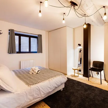 Le Loft Carnot - In The Heart Of The Apartment Annecy
